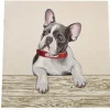 GOBELIN FANTASIA BULLDOG 13469 MISURA CM 47X47