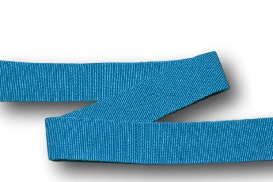 NASTRO GROS GRAIN COTONE ALTEZZA CM 2.50 MT 10