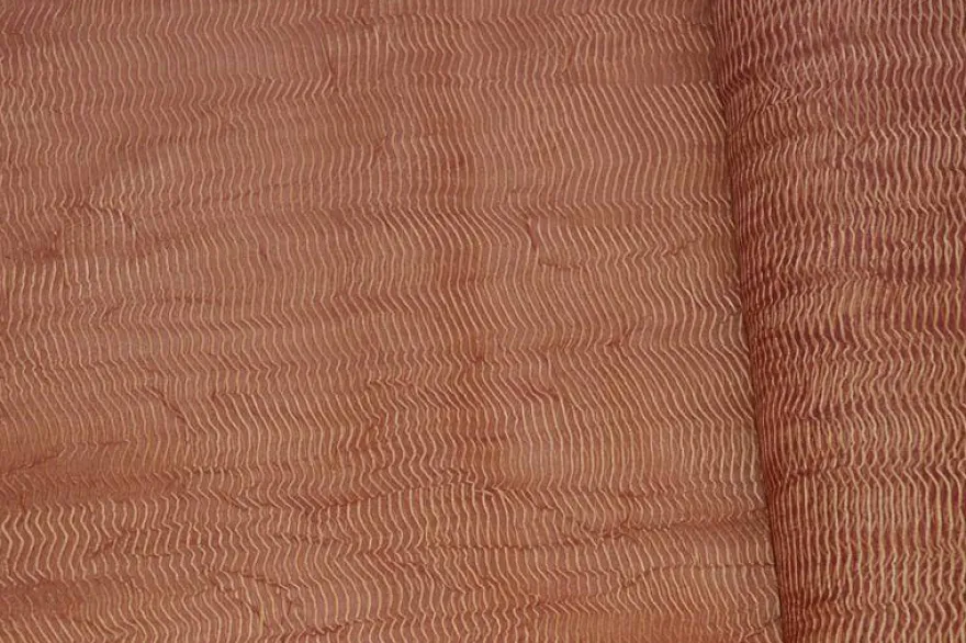ORGANZA ROSSA RIGHINO ORO