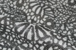 PAILLETTES FANTASIA BIANCO/NERO