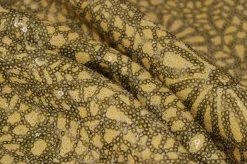 PAILLETTES FANTASIA OCRA/VERDE