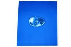 PANNELLO PURA SETA FANTASIA FONDO BLUETTE