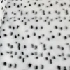 PELLICCETTA DALMATA