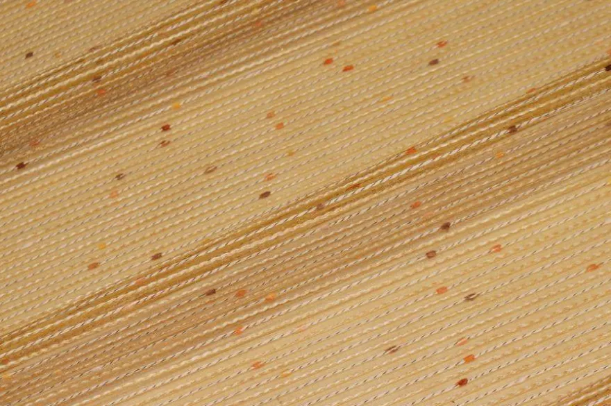 TENDINO FONDO ORGANZA CON RICAMO IN RILIEVO