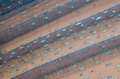 TENDINO ORGANZA AZZURRO CANGIANTE ROSSO