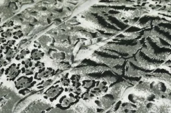 TESSUTO MAGLINA A BALZE ANIMALIER