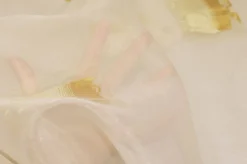 TESSUTO TENDINO ORGANZA OCRA